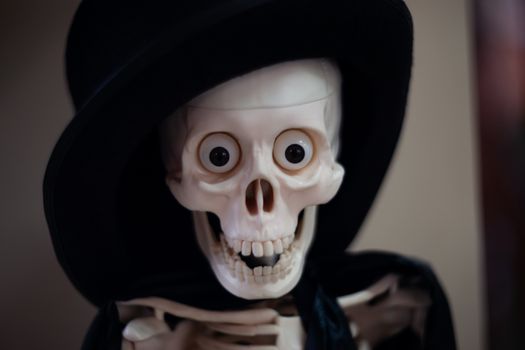 Skeleton with hat on head and cloak. Halloween decoration. Close-up view with blurred background.