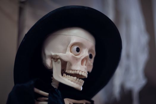 Skeleton with hat on head and cloak. Close-up view. Halloween decoration and blurred background.
