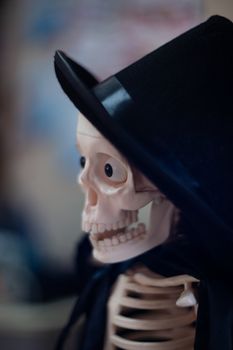 Skeleton with hat on head and cloak. Close-up view. Halloween decoration and blurred background.