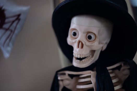 Skeleton with hat on head and cloak. Halloween decoration. Close-up view with blurred background.