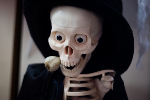Skeleton with hat on head and cloak with garlic in mouth. Halloween decoration. Close-up view with blurred background.