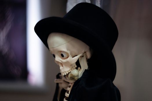 Skeleton with hat on head and cloak with garlic in mouth. Halloween decoration. Close-up view with blurred background.