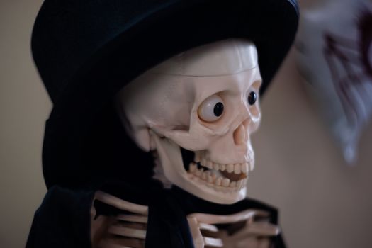 Skeleton with hat on head and cloak. Halloween decoration. Close-up view with blurred background.