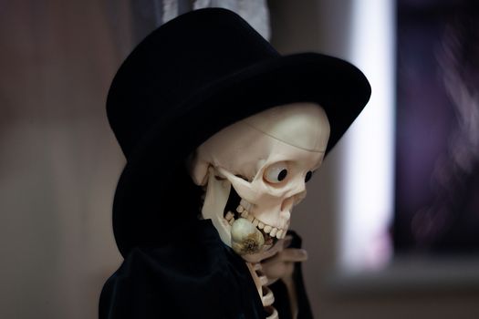 Skeleton with hat on head and cloak with garlic in mouth. Halloween decoration. Close-up view with blurred background.