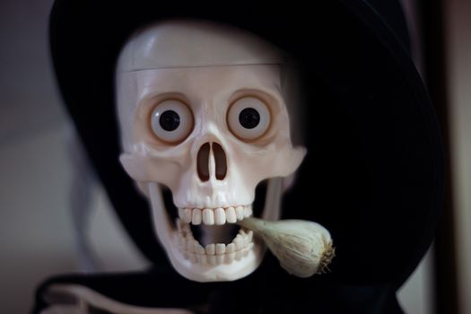 Skeleton with hat on head and cloak with garlic in mouth. Halloween decoration. Close-up view with blurred background.