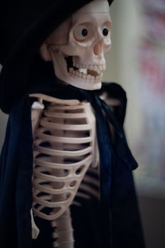 Skeleton with hat on head and cloak. Halloween decoration.