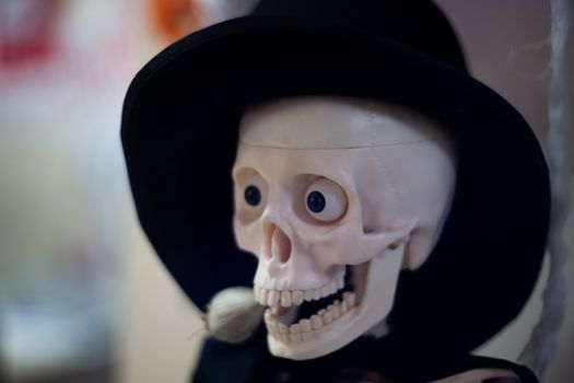 Skeleton with hat on head and cloak with garlic in mouth. Halloween decoration. Close-up view with blurred background.