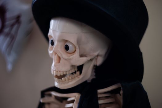 Skeleton with hat on head and cloak. Halloween decoration. Close-up view with blurred background.