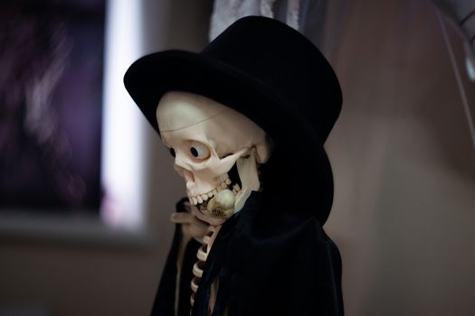 Skeleton with hat on head and cloak with garlic in mouth. Halloween decoration. Close-up view with blurred background.
