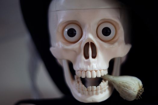 Skeleton with hat on head and cloak with garlic in mouth. Halloween decoration. Close-up view with blurred background.