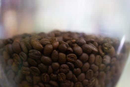 Fresh roasted Arabica coffee beansIn coffee grinder bunker.