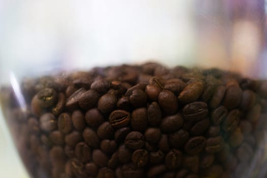 Fresh roasted Arabica coffee beansIn coffee grinder bunker.