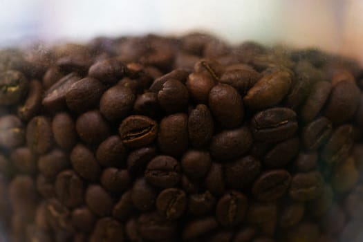 Fresh roasted Arabica coffee beansIn coffee grinder bunker.
