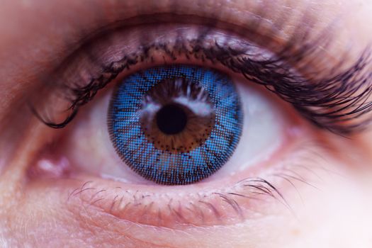 Woman eye with blue contact lens. Eyelashes is defocused.