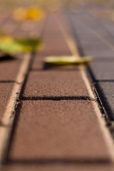 Autumn walking road with leaves at the curb. Green grass and orange leaves. Close-up view. Blurred background.