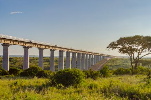 View of the viaduct of the Nairobi railroad to mombassa in the savannah of Nairobi Park in central Kenya