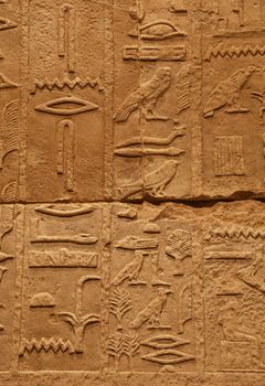 Close up background of antique stone wall with carved ancient Egyptian hieroglyphs, front view