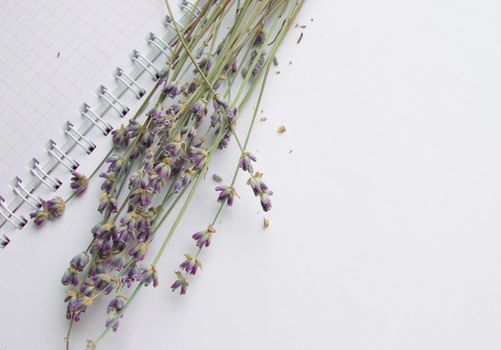 Bouquet of lavender on an open notebook, selective focus, the concept of collecting herbs and treatment of alternative medicine, top view.