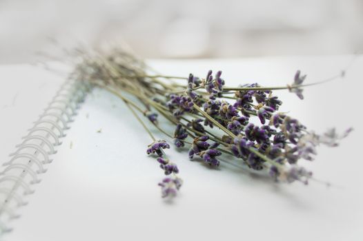 Lavender bouquet on an open notebook, selective focus, romantic card, layout for design and decoration of romance and love themes, for bloggers, vignetting effect