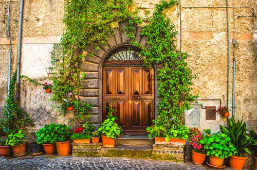 vine plant on an italian house door .