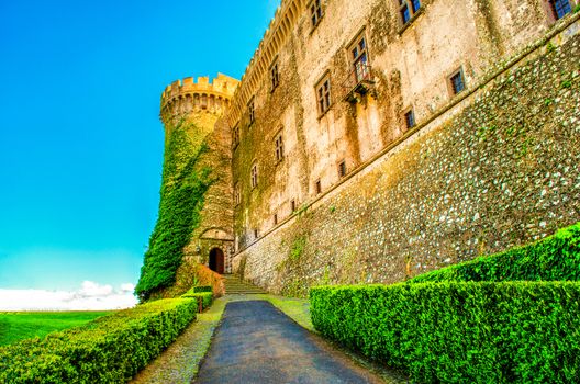entry castle of Bracciano with vine plants - Bracciano castle is a famous italy destination and landmark near Rome in Lazio .