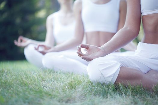 Women sitting in lotus position during yoga training at park