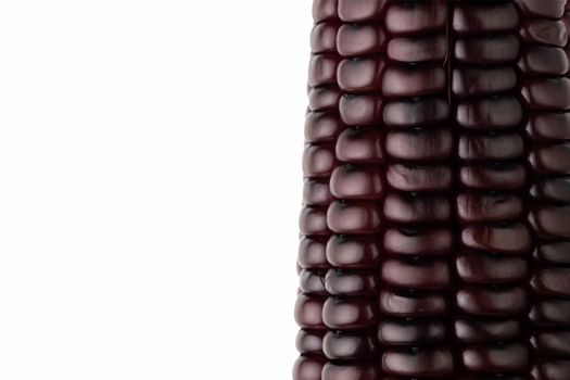 Closeup Purple corn on white background. Copy space for text or articles. Concepts of healthy food.
