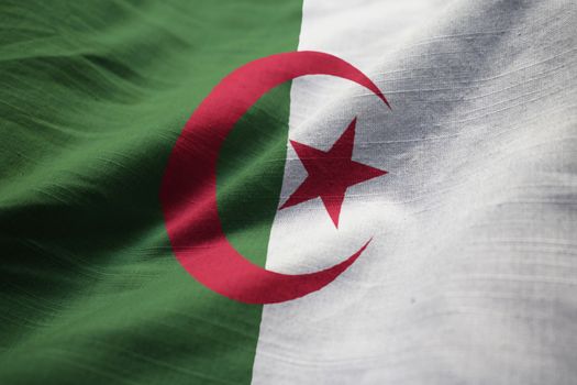 Ruffled Flag of Algeria Blowing in Wind