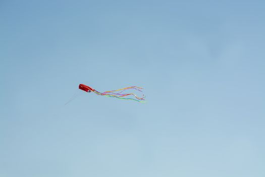 Red kite flying high against blue sky in Mallorca, Spain.