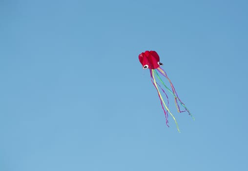 Red kite flying high against blue sky in Mallorca, Spain.