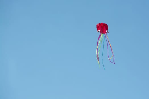 Red kite flying high against blue sky in Mallorca, Spain.