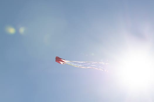 Red kite flying high against blue sky in Mallorca, Spain.