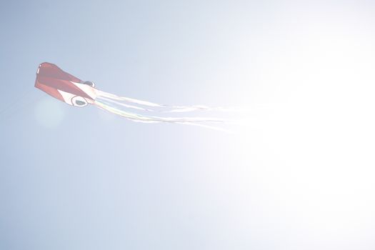 Red kite flying high against blue sky in Mallorca, Spain.