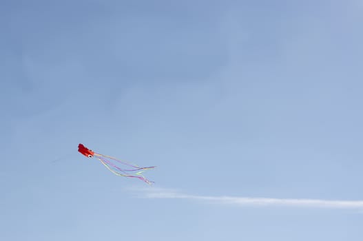 Red kite flying high against blue sky in Mallorca, Spain.