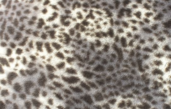 Fake leopard fur pattern wildlife print style