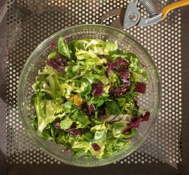 Mixed green and purple salad in glass bowl on rusty iron background.