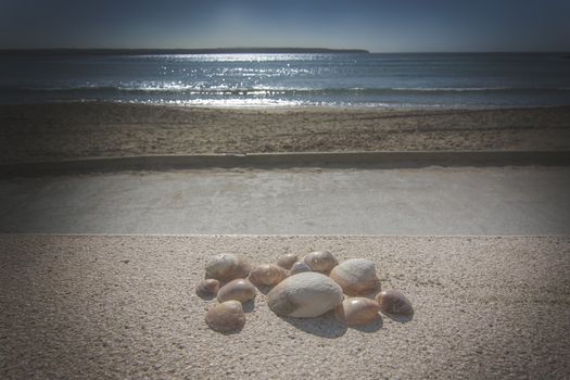 Collection of seashells on concrete wall in front of empty sand beach and ocean horizon in Mallorca, Spain.