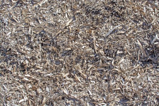 Dead seagrass surface texture closeup background on winter beach