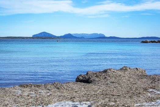 Green water and dry seagrass on a winter beach in Costa Smeralda, Sardinia, Italy in March.