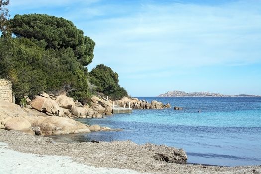 Green water and dry seagrass on a winter beach in Costa Smeralda, Sardinia, Italy in March.
