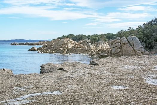 Green water and dry seagrass on a winter beach in Costa Smeralda, Sardinia, Italy in March.