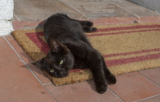 Dark brown kitten lays and stretches on fiber mat and terracotta floor in Sardinia, Italy.