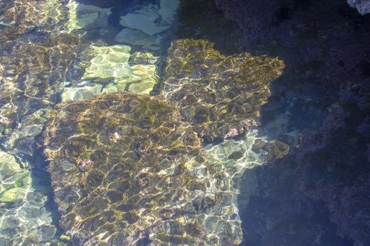 Sea floor with rocks sunlight closeup transparent water, Mallorca, Spain.