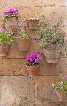 Beautiful terracotta flowerpots with pink cyclamen flowers on stone wall in Valldemossa Mallorca.