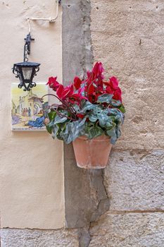 Beautiful terracotta flowerpot with red cyclamen flowers and Santa Catalina Thomas ceramic plate and black iron lamp on stone wall in Valldemossa Mallorca.