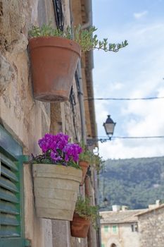 Beautiful terracotta flowerpots with pink cyclamen flowers on stone wall in Valldemossa Mallorca.