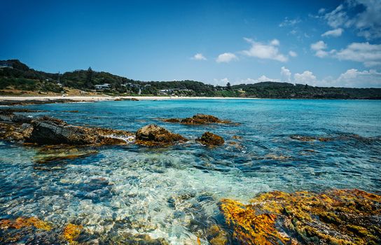 Looking back to the beach from the rock shelf.  Seal Rocks Australia