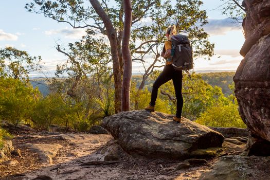 Female hiker with backpack stands on a rock admiring views while bushwalking in Australian bushland