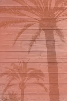 Palm tree shadows on wooden boardwalk planks background texture toned in trend color Living Coral.