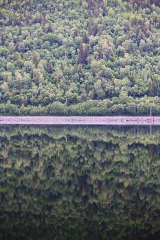 Mountain forest with reflection in water of Hardanger fjord, Norway